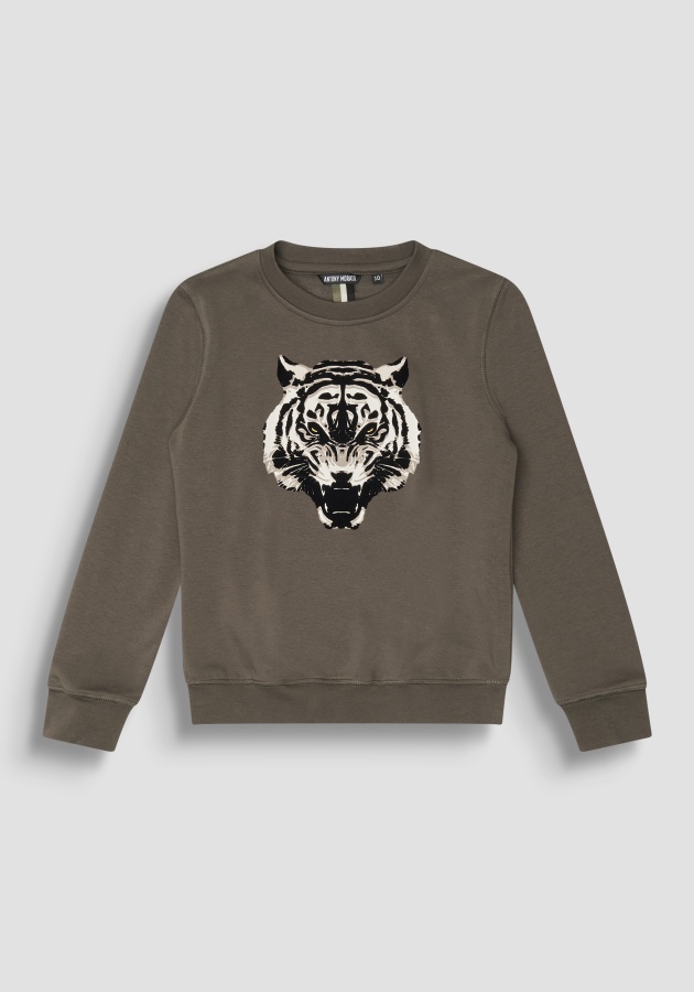 Толстовка ANTONY MORATO корич.