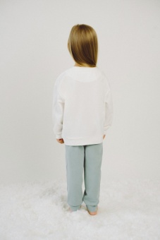 AMP04995